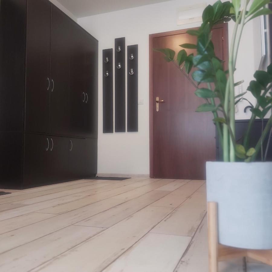Saint Nicholas Varna Lovely 2 Bedroom Apartment With Sunny Garden Exteriör bild